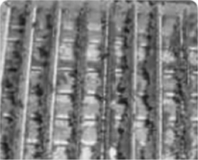 Dust, mould and bacteria build up on fins