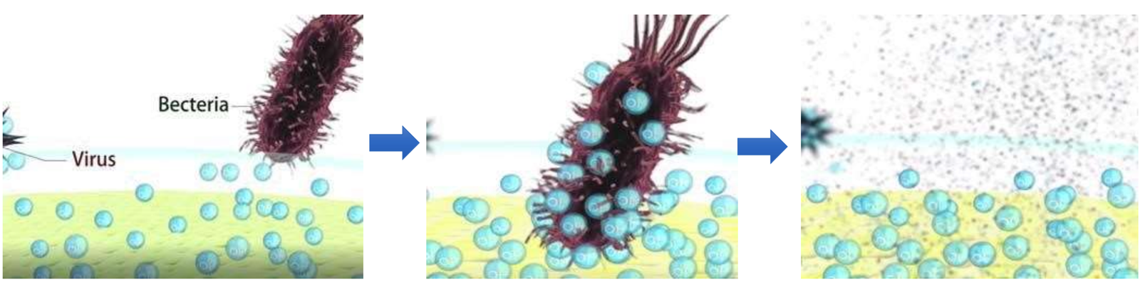 Antiviral and antibacterial mechanism