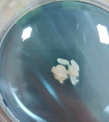Coated fin foil — growth inhibited